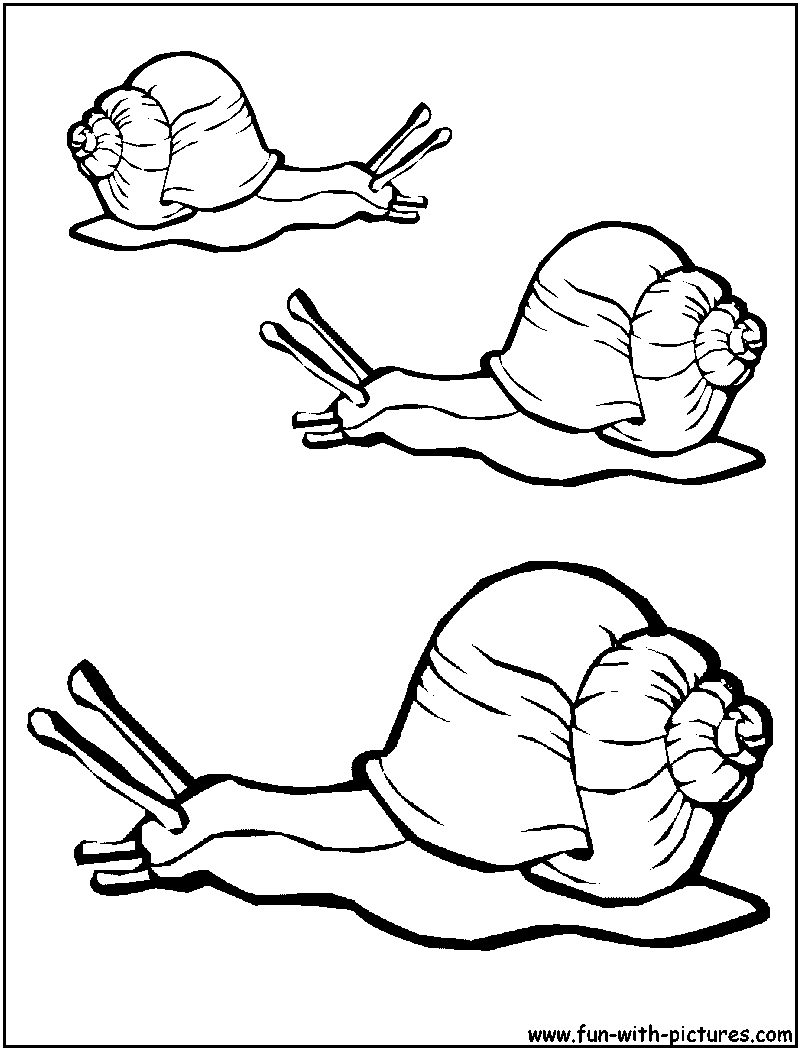 Snails Coloring Page 