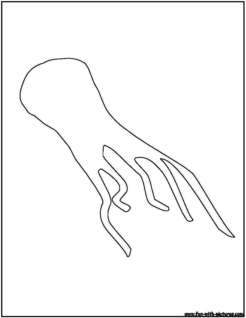 Squid Outline Coloring Page 