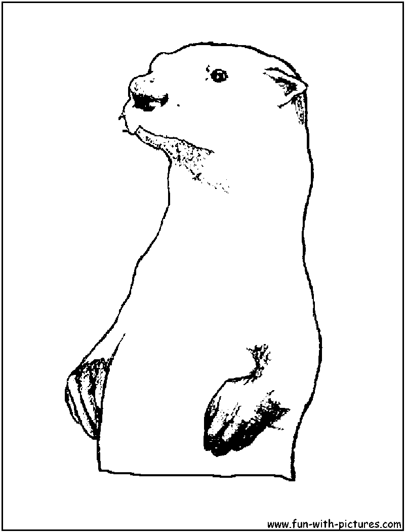 Standing Otter Coloring Page 