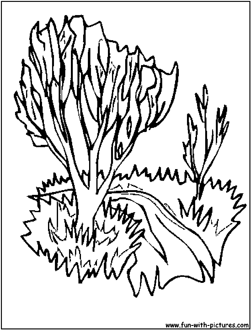 Summer Path Coloring Page 