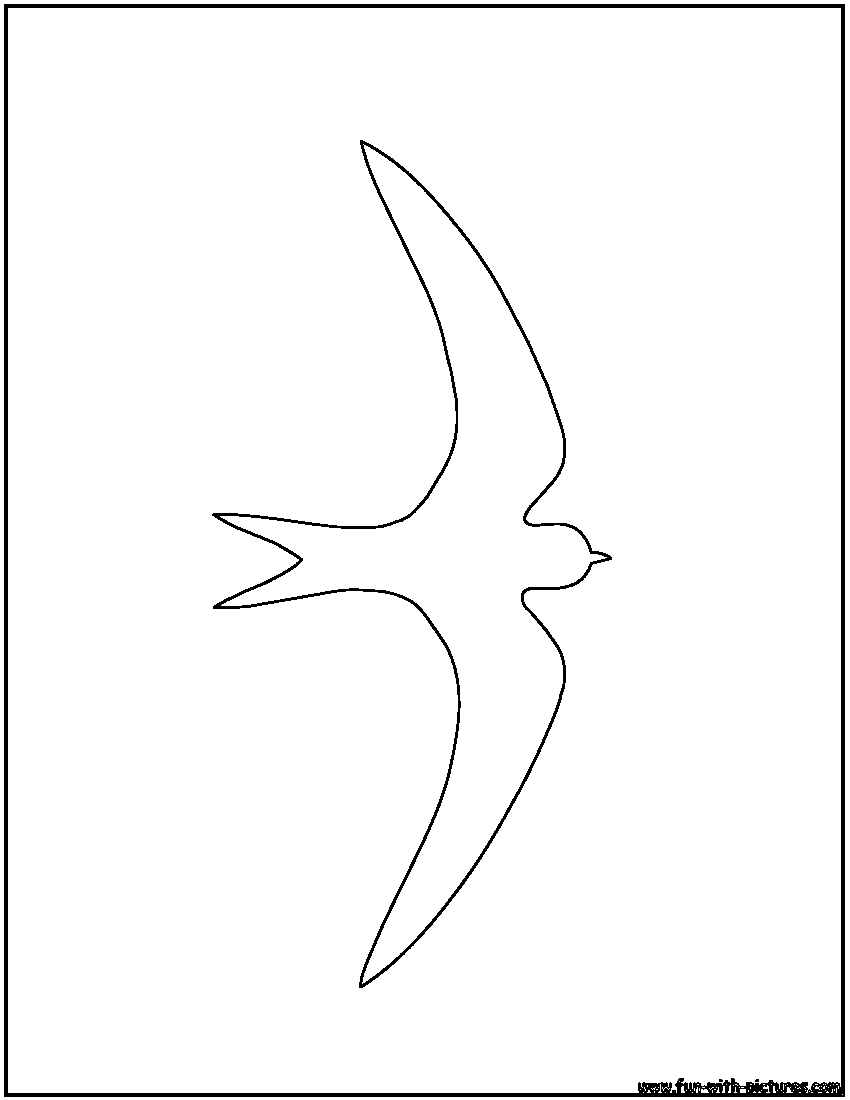 Swift Outline Coloring Page 