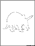aardvark outline
