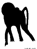 baboon2 silhouette