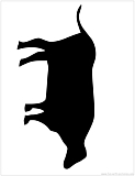 buffallo silhouette