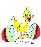 easter chick card