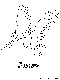 Fearow Coloring Page 