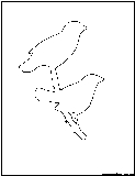 finch outline