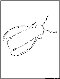 fly outline