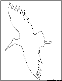 flying stork outline