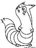 Furret Coloring Page 