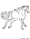 Horse Canter Coloring Page 