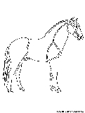 horse cutout
