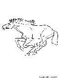 Horse Gallop Coloring Page 