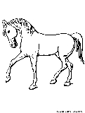 Horse Trot Coloring Page 