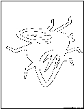 house fly outline