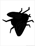 house fly silhouette