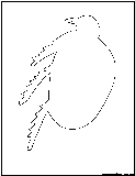 katydid outline