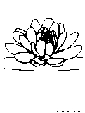Lotus Blossom Coloring Page 