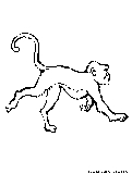 Monkey Coloring Page 