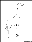 okapi outline