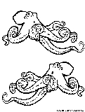 Realistic Octopus Coloring Page 