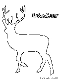 reindeer outline