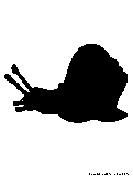 snail2 silhouette