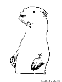 Standing Otter Coloring Page 