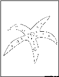 starfish outline