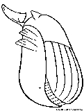 Wailord Coloring Page 