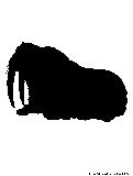 walrus silhouette