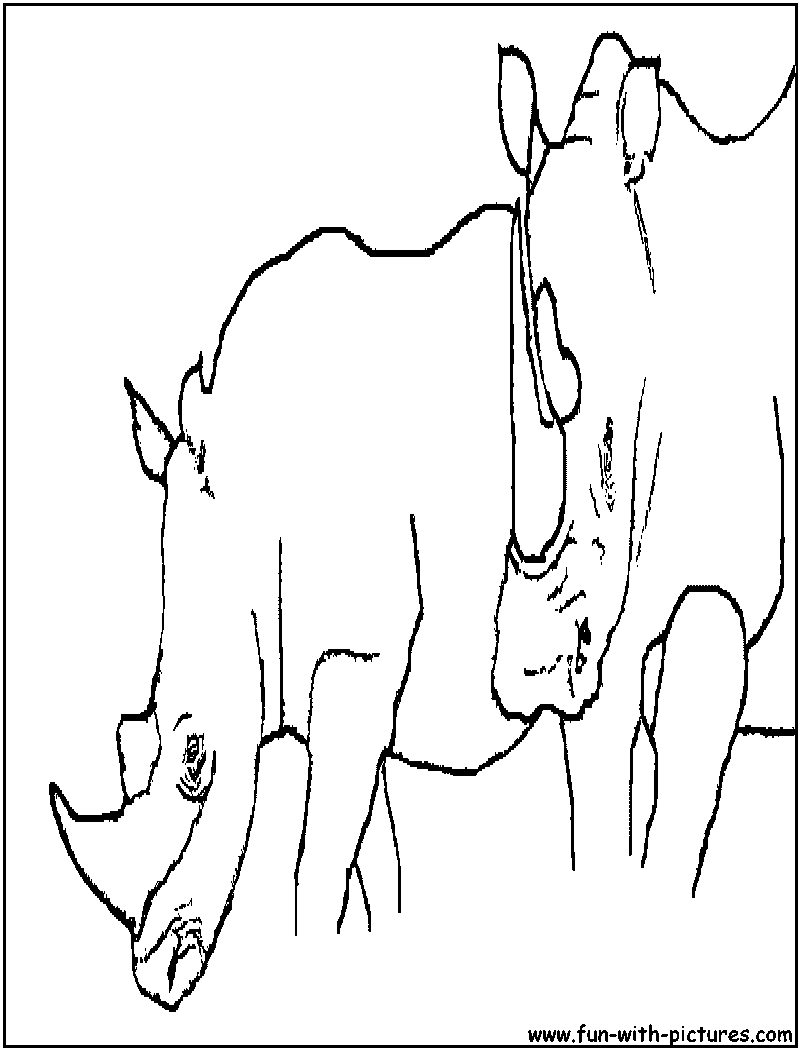 Two Rhinos Coloring Page 