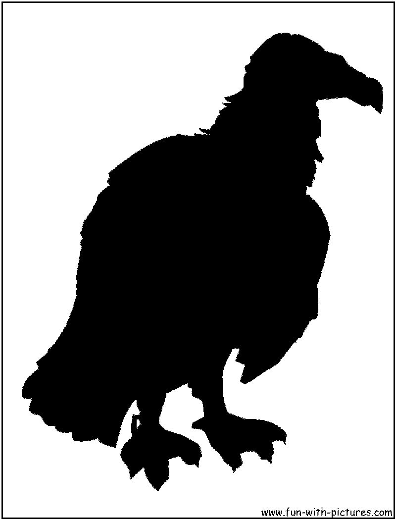 Vulture Silhouette