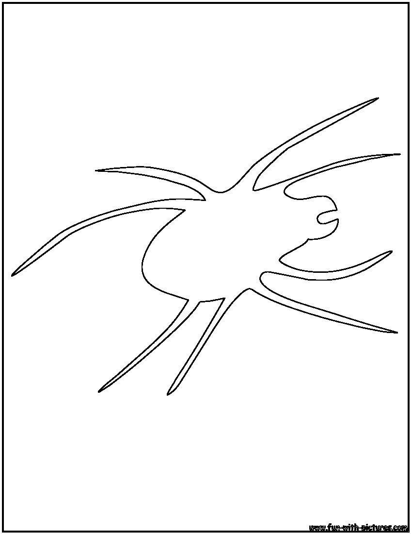 Water Strider Outline Coloring Page 