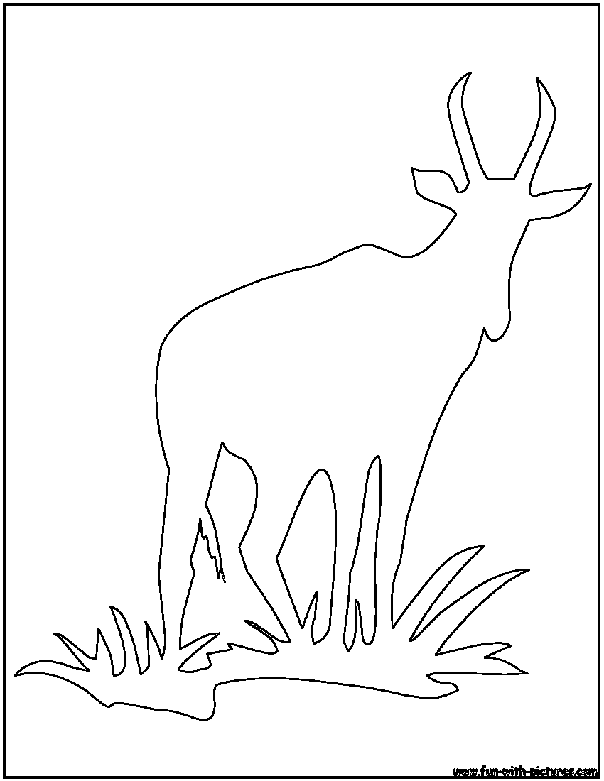 African Animal Outlines Coloring Pages - Free Printable Colouring Pages