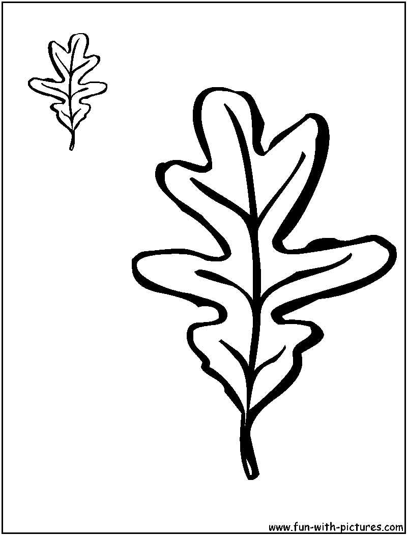 White Oak Leaves Coloring Page 