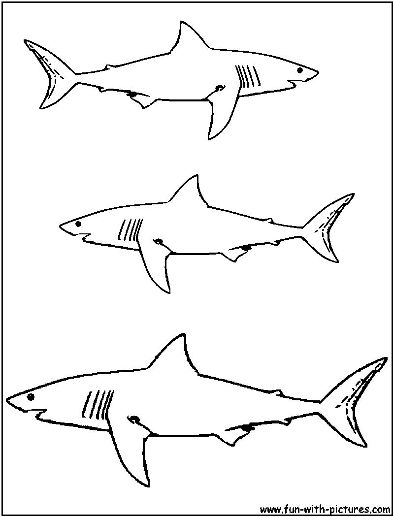 White Shark Coloring Page 