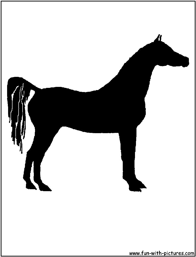 Arabian Horse Silhouette