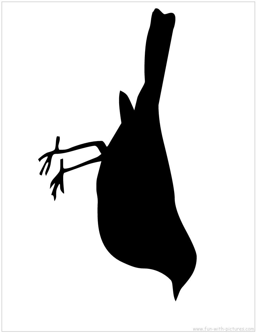printable bird outline template