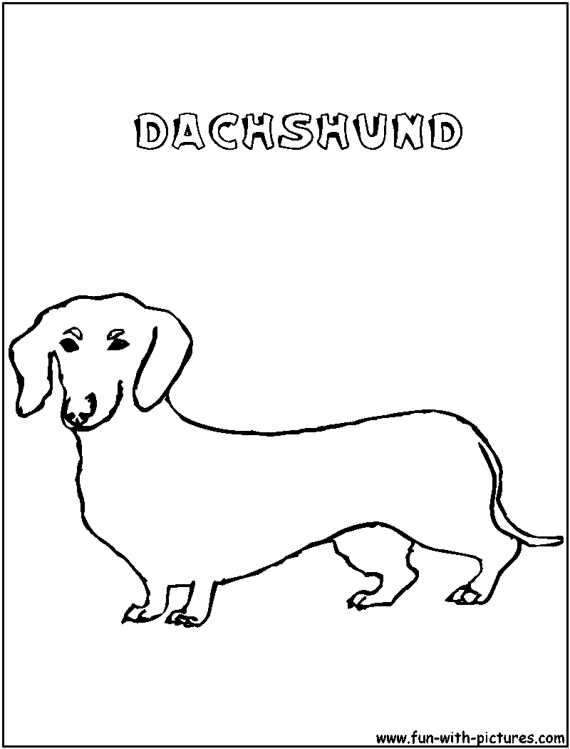 dachshund dog coloring pages