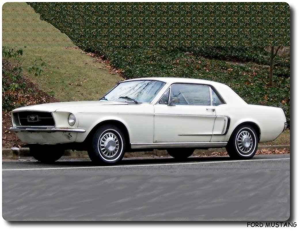 Ford Mustang Car 