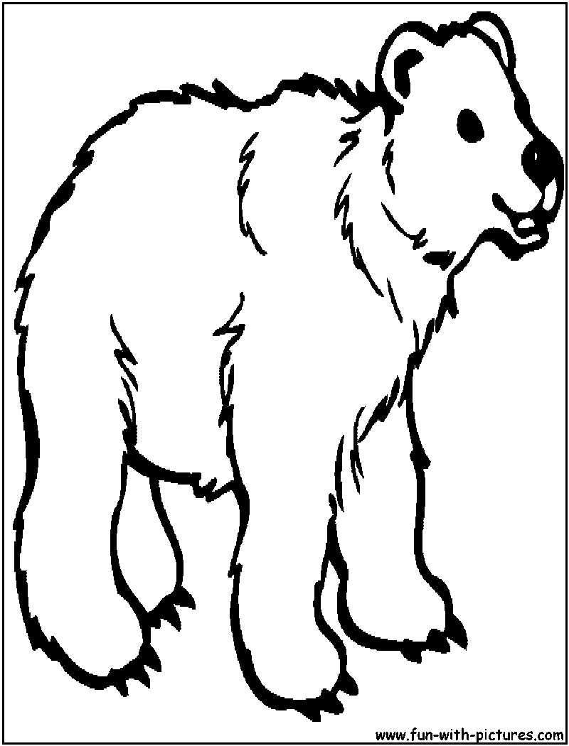 zoo animals coloring page