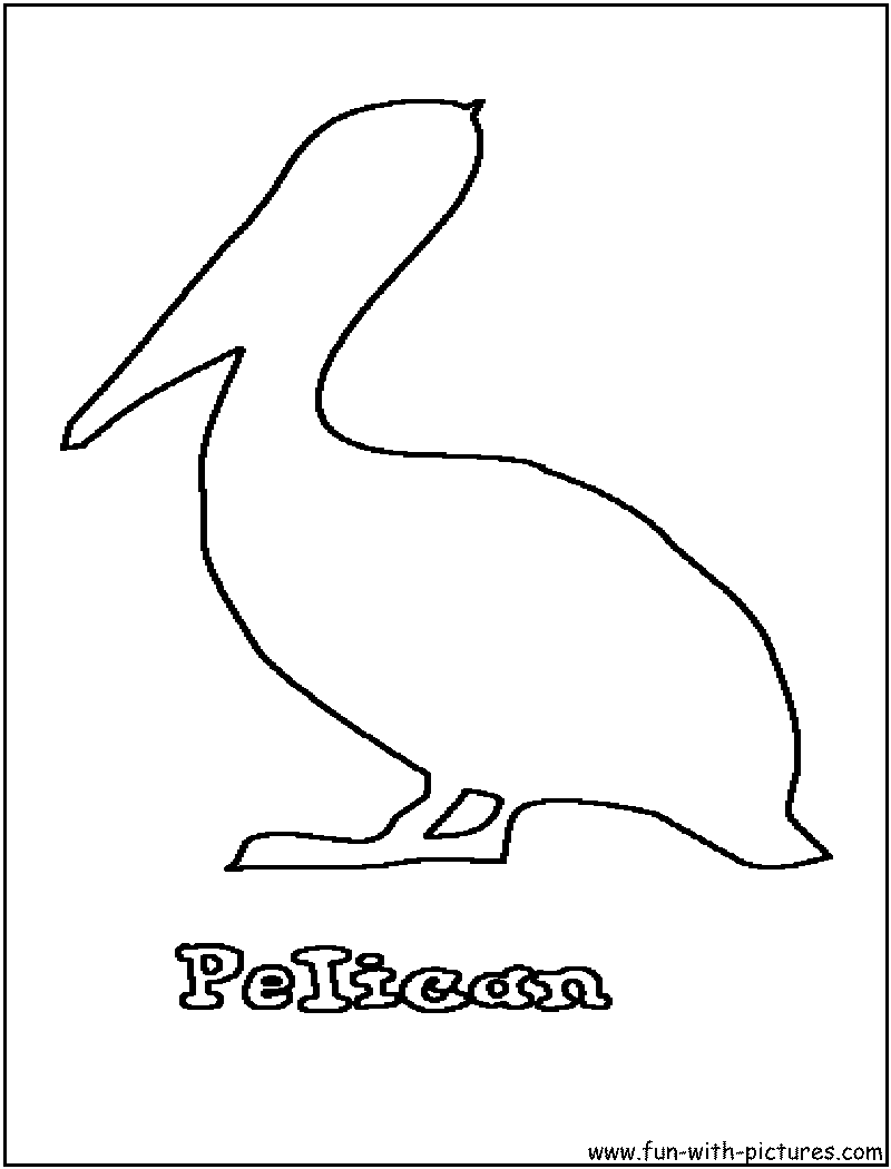 Pelican Coloring Page 