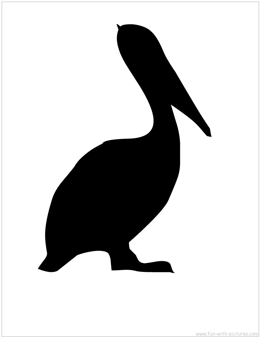 Pelican Silhouette