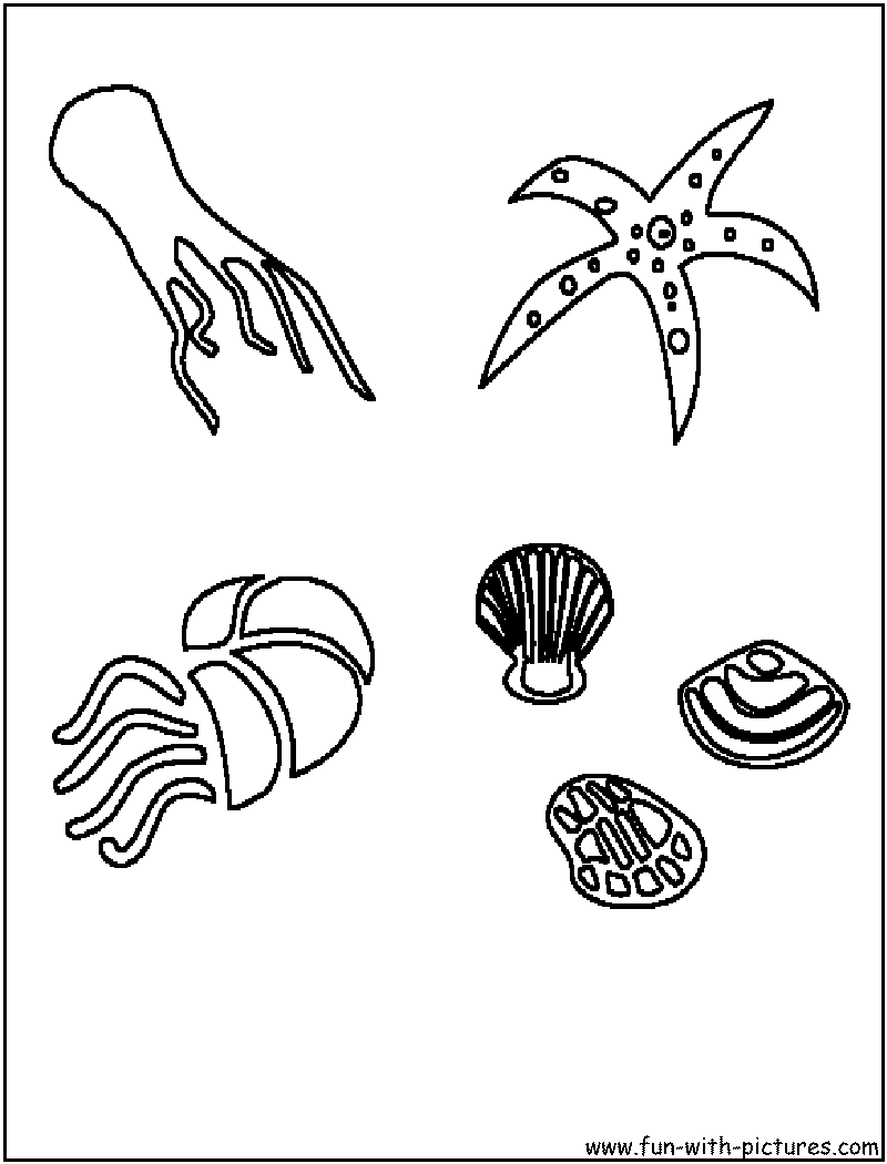 Sealife Coloring Page 