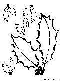 Autumn Leaves Coloring Page4 