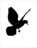 pigeon silhouette