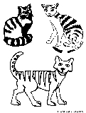 stripedcats
